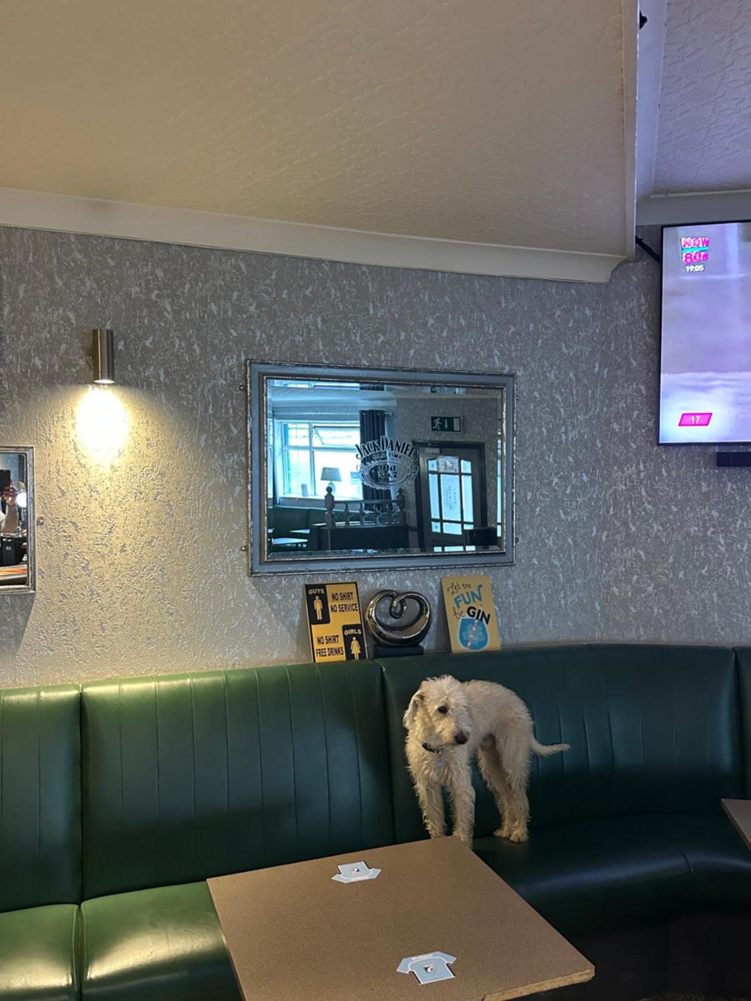 The Angel Inn Troed-y-rhiw ภายนอก รูปภาพ